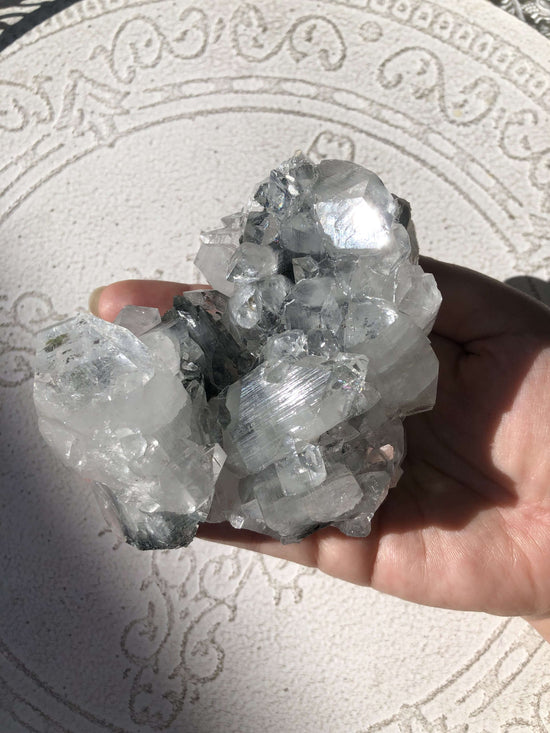 Apophysllite crystal specimen in hand