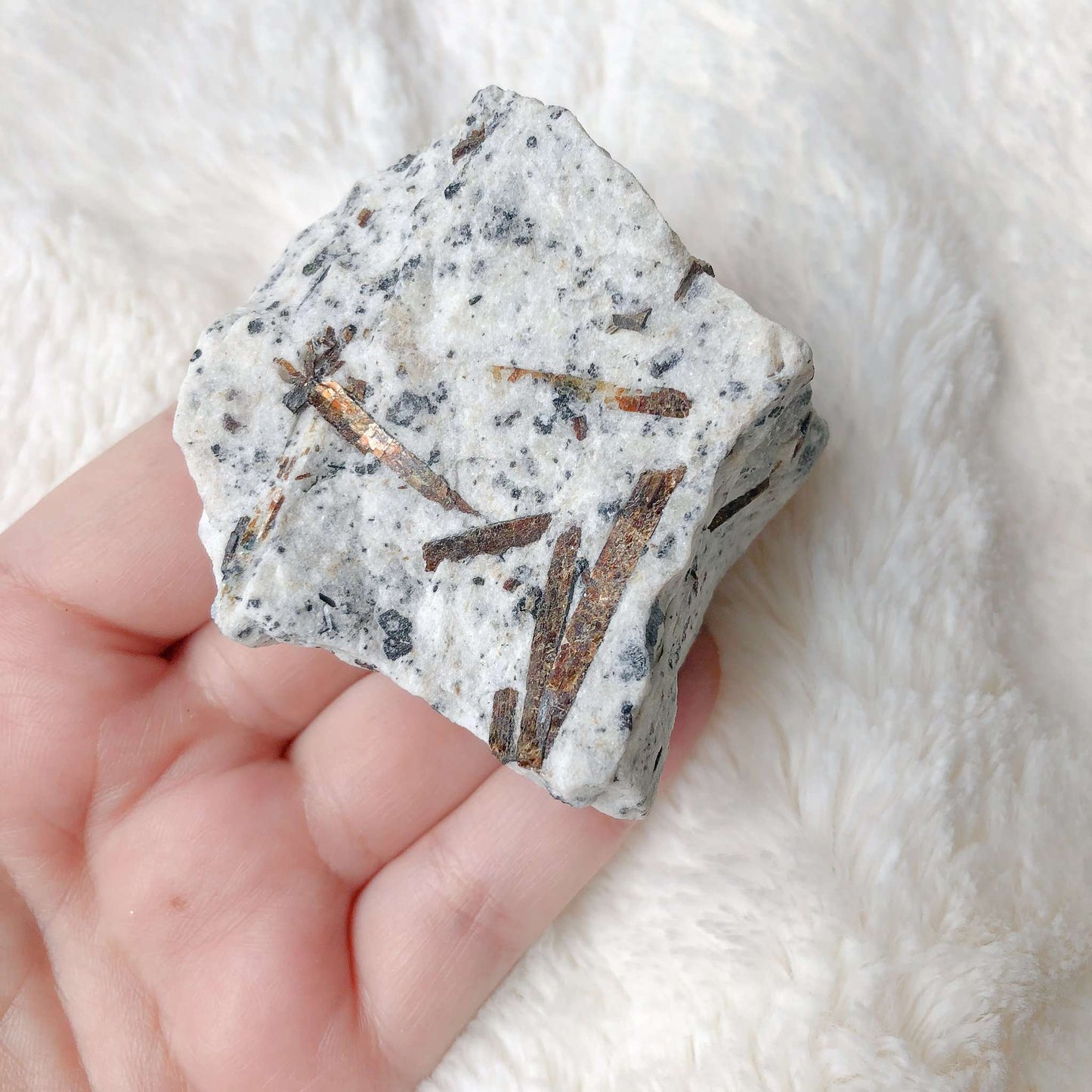 Rare and White Astrophyllite in hand