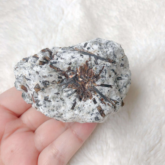 Rare and White Astrophyllite in hand