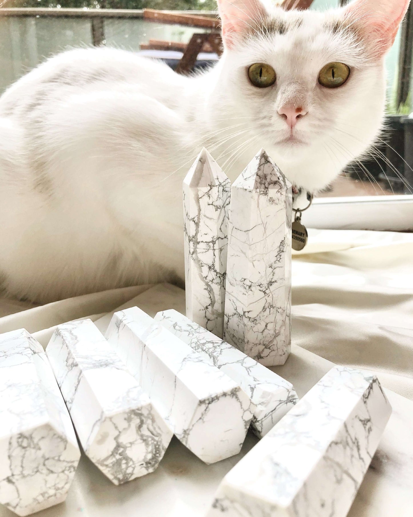 Howlite crystal points with white cat
